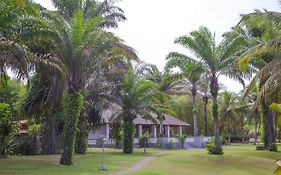 African Queen Lodge